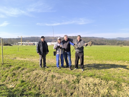 Obcina_hoce_slivnica_sajenje_lip marec2026_foto_pigac_si (31)